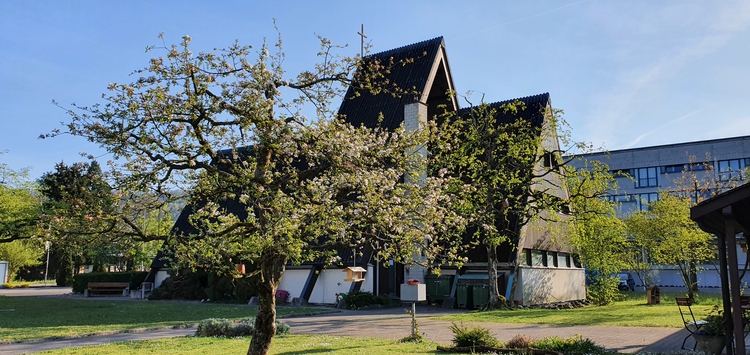 Frhling im Birrfeld