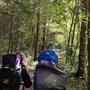Wandern durch den Herbstwald