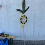IMG-20250412-WA0008