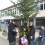 Palmbinden 2010 