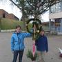 Palmbinden 2010 
