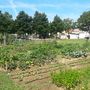 Paulusgarten hinter dem Paulushuus