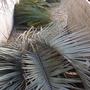 IMG-20250411-WA0003