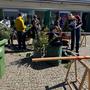 IMG-20250412-WA0004