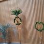 IMG-20250415-WA0009