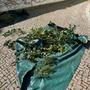 IMG-20250412-WA0002